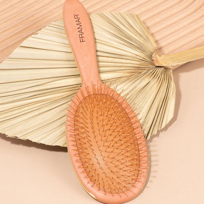 Wet Hair Brush Detangler – Curly Hair Brush Women, Hairbrushes for Women, Detangle Hairbrush, Detangling Brush Set, Detangler Hairbrush - Mojave